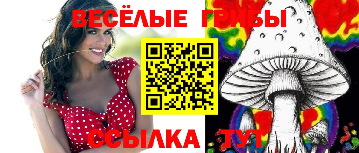 наркотики  Галлюциногенные грибы ЛСД  Вход с VPN  Карасук 